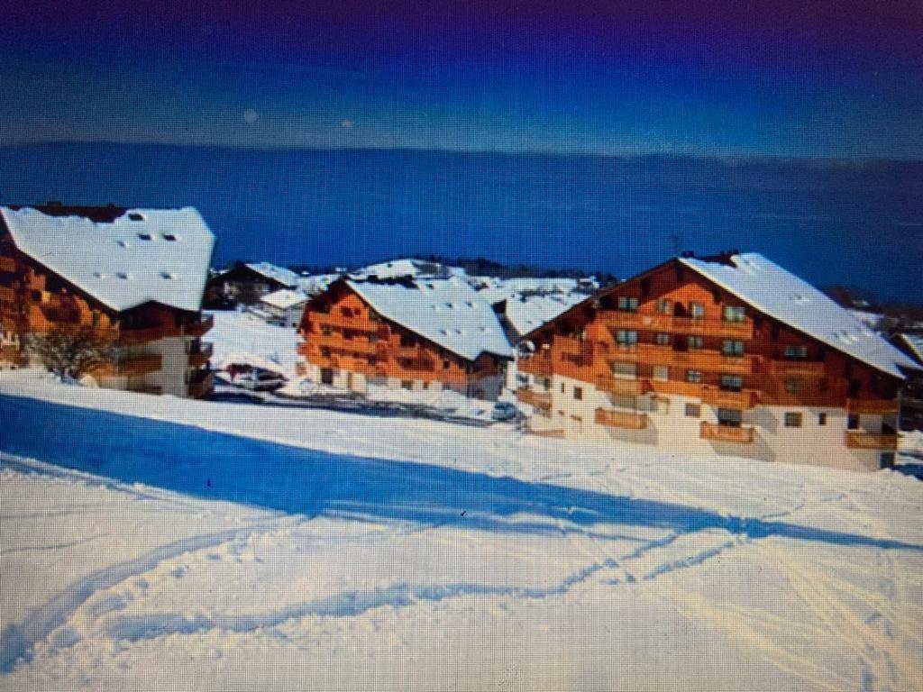 Igloo Ski In Ski Out Thollon-les-Memises エクステリア 写真