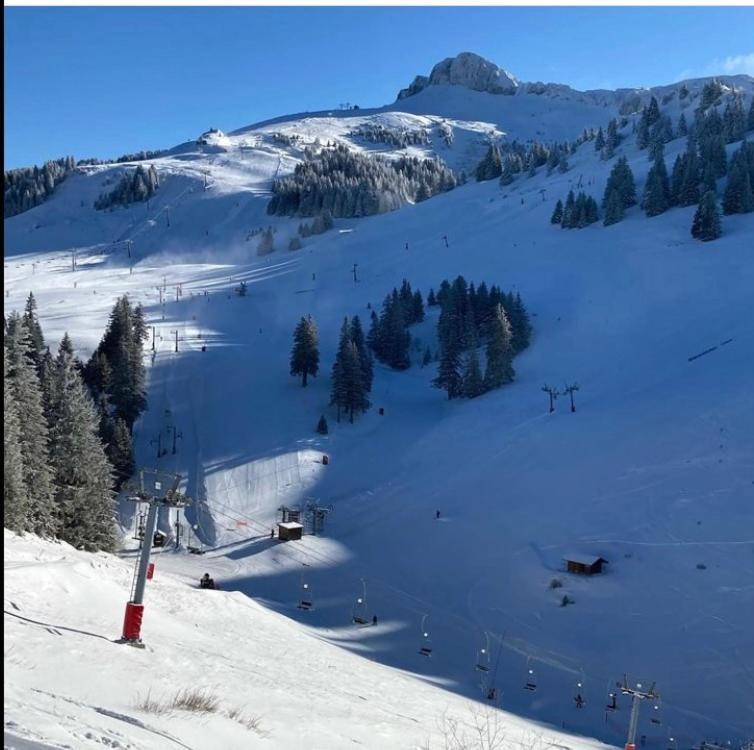 Igloo Ski In Ski Out Thollon-les-Memises エクステリア 写真